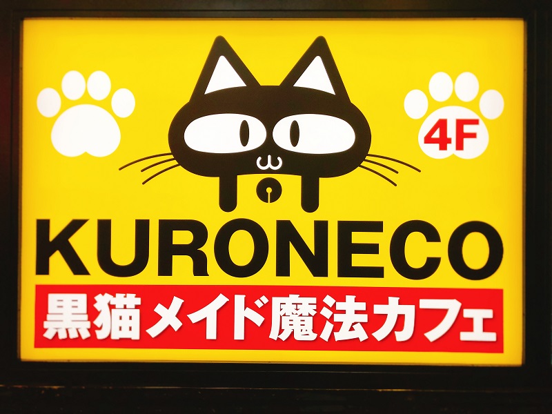 黒猫メイド魔法カフェ札幌ドンキ